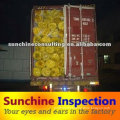 Container Loading Check/ Inspection at Zhenjiang Port